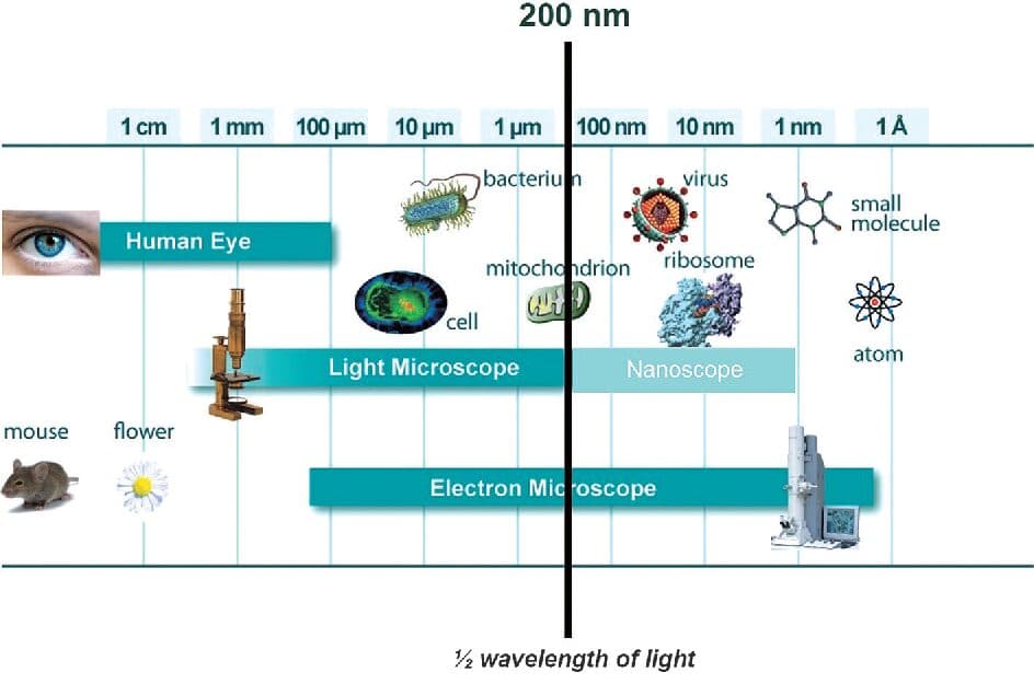 Microscopes