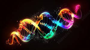 Biological & Medical Measurements