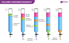 Chromatography