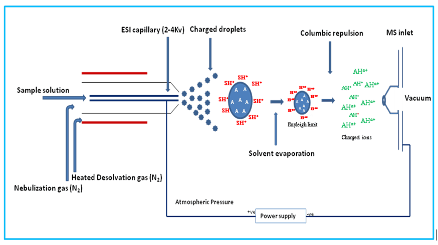 ESI-Mass