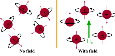 NMR