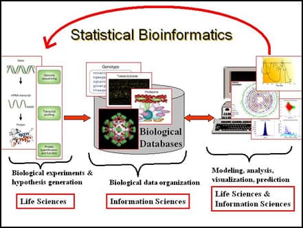 Bioinformatics & Statistical Analysis