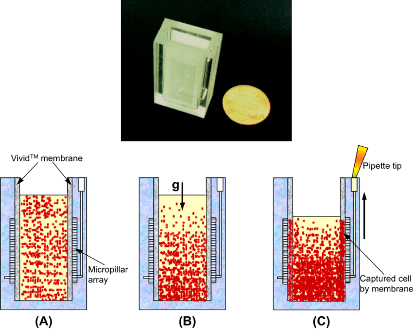 Plasma extraction