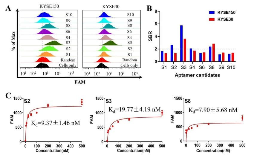 Binding affinity evaluation