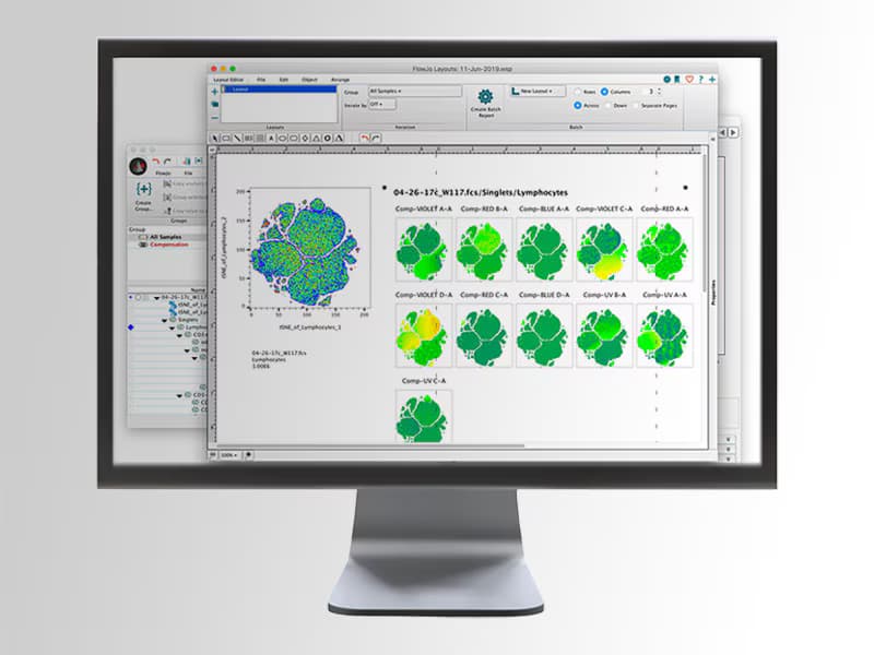 FlowJo software analysis
