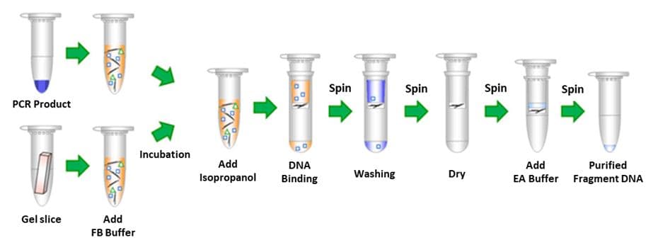 Gel purification